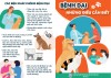 Bệnh dại những điều cần biết