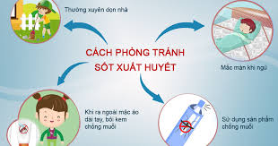 Các biện pháp phòng tránh sốt xuất huyết vào mùa mưa